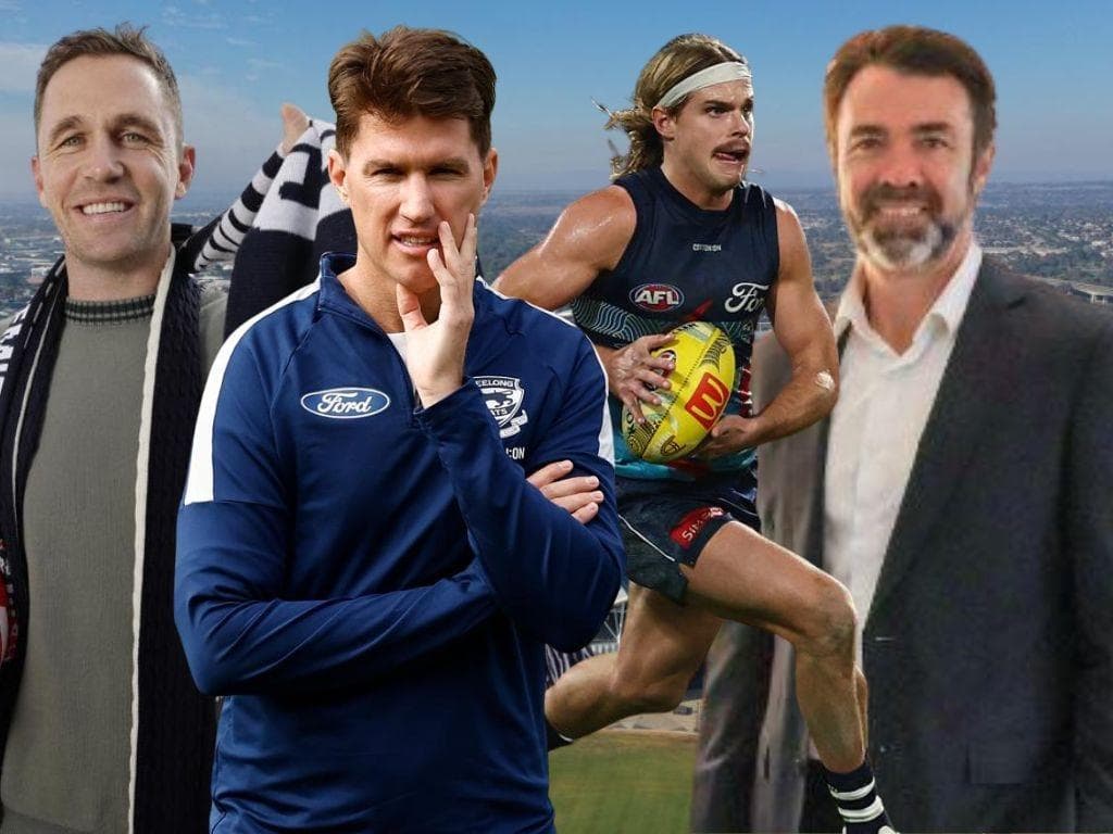 Unraveling the Mystery Behind The Cats’ Third Party Payments Controversy