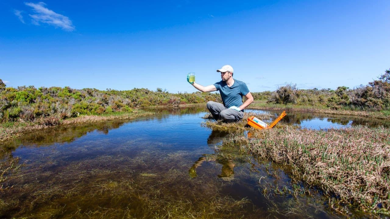 Environmental careers