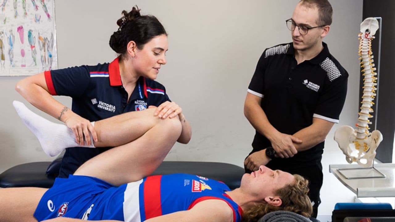 Rehabilitation careers