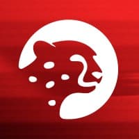 Sokin logo