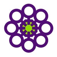 Women's Safety Services SA logo